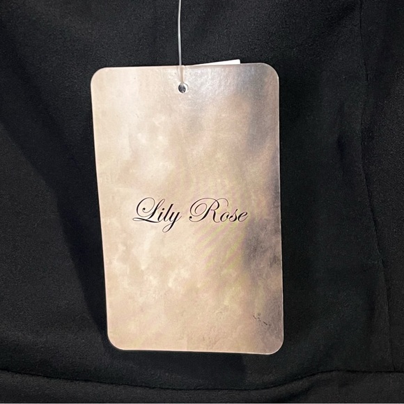 6/$25
Lily Rose Elegant Black Midi Dress - Picture 4 of 12